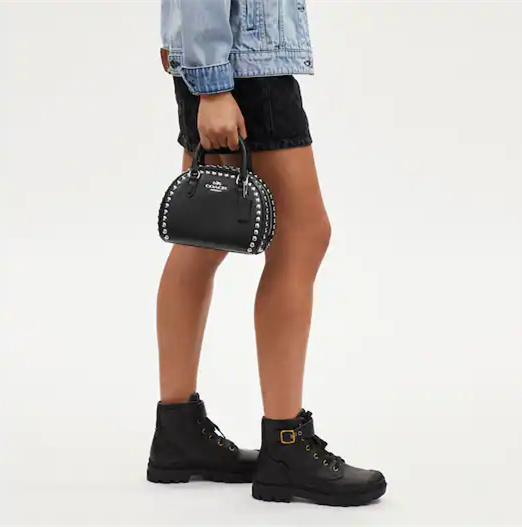 Coathtch Classic handbags