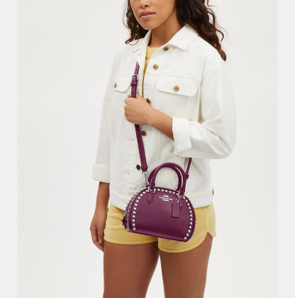 Coathtch Classic handbags