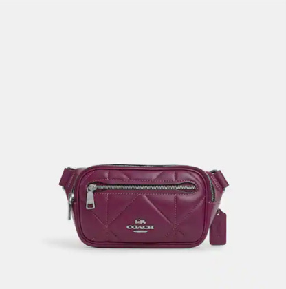 Coathtch Classic handbags