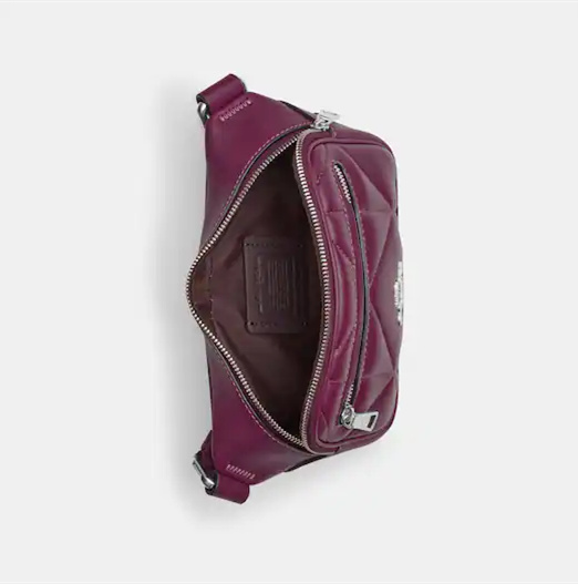 Coathtch Classic handbags