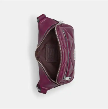 Coathtch Classic handbags