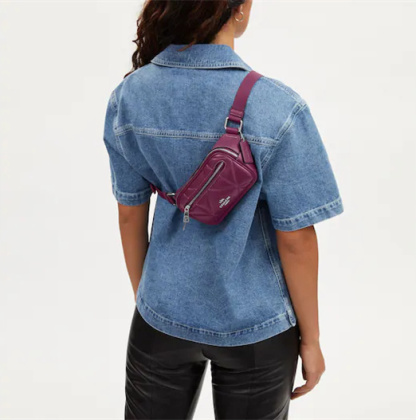 Coathtch Classic handbags