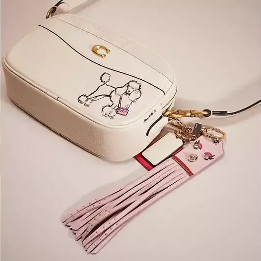 Camera Bag