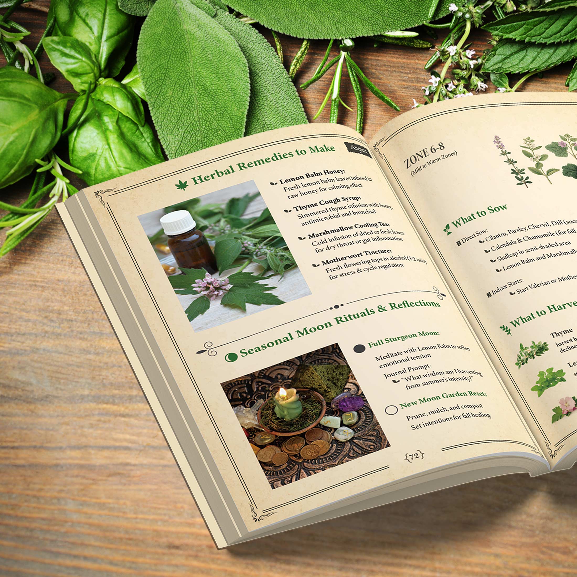 Ancestral Apothecary Ancestral Herbal Almanac 2026 by USDA Zone