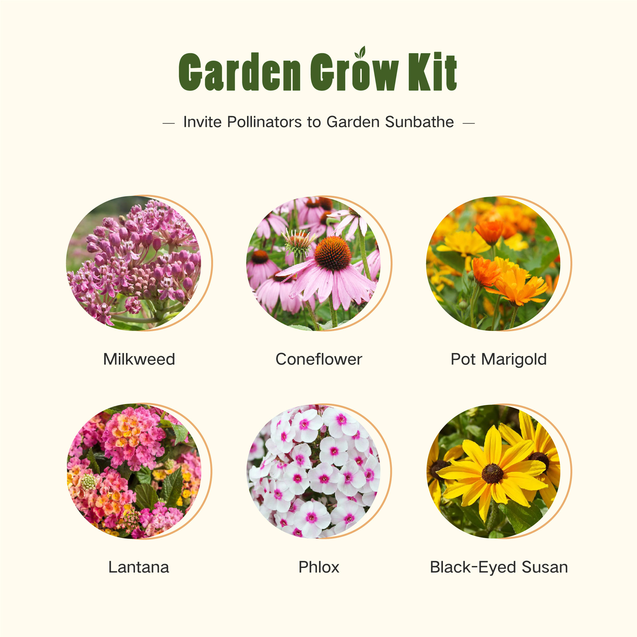 Container Garden - Butterfly Garden Grow Kit