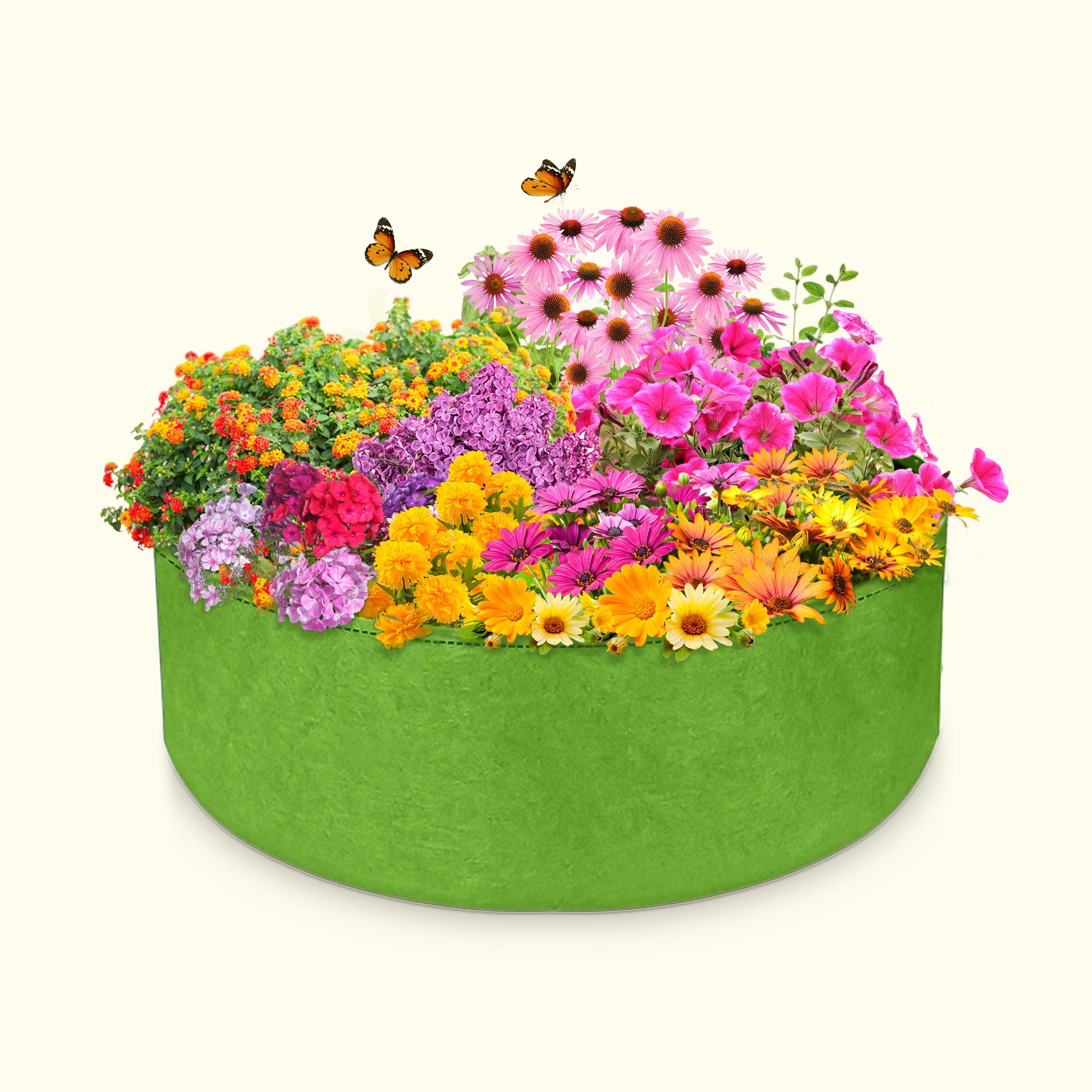 Container Garden - Butterfly Garden Grow Kit