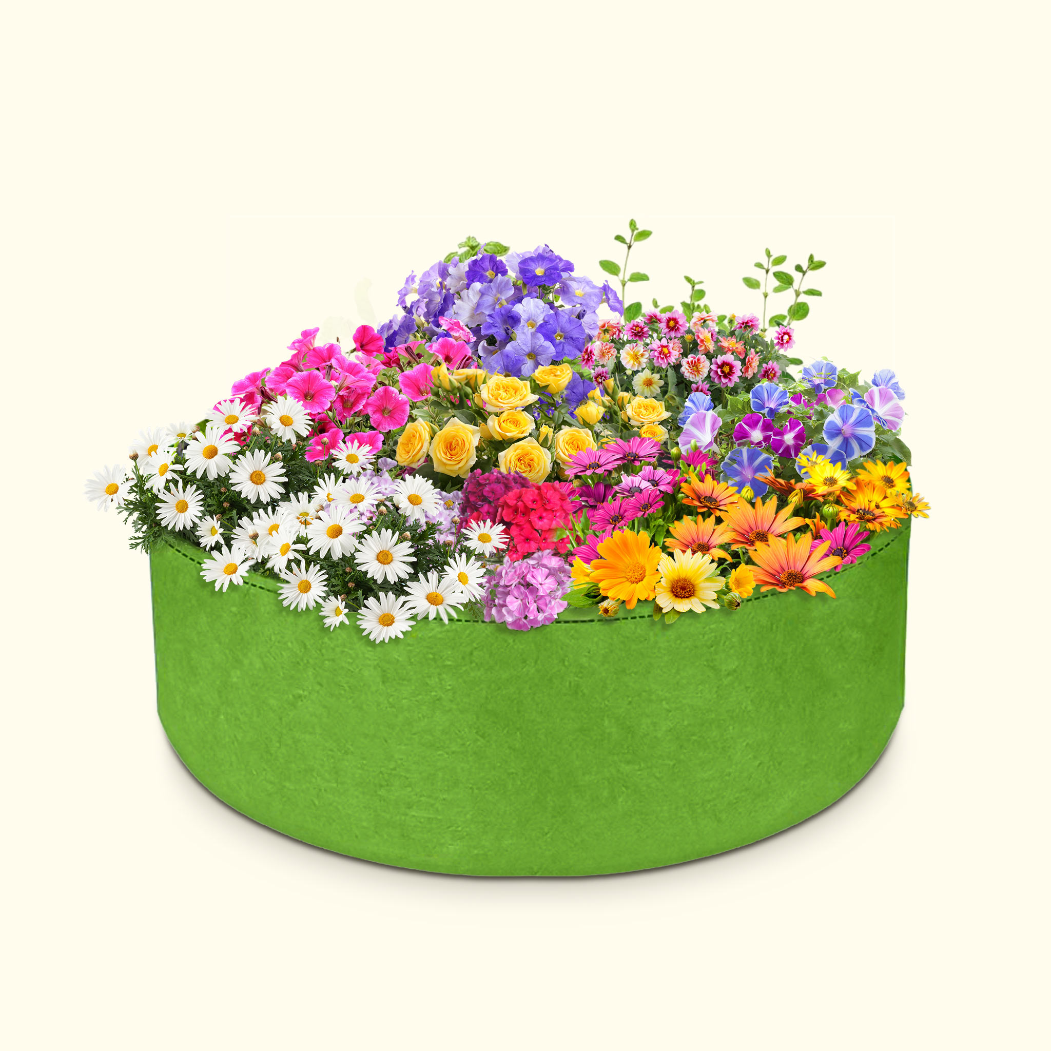 Container Garden - Rainbow Garden Grow Kit