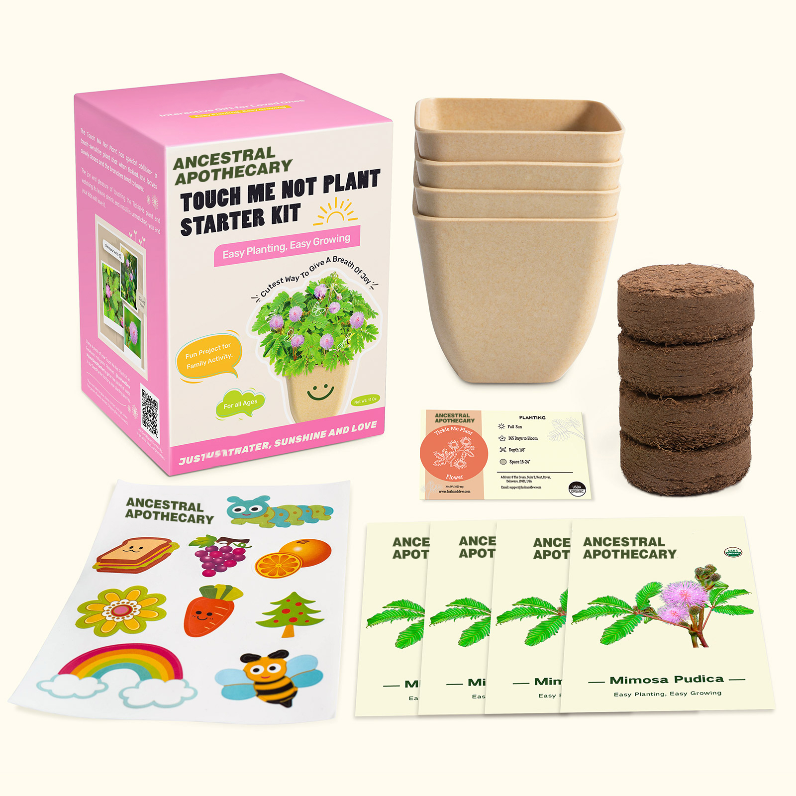 Ancestral Apothecary Touch Me Not Plant Grow Kit - 4 Pack Seeds