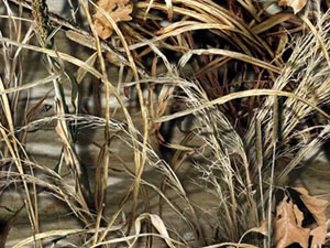 camo