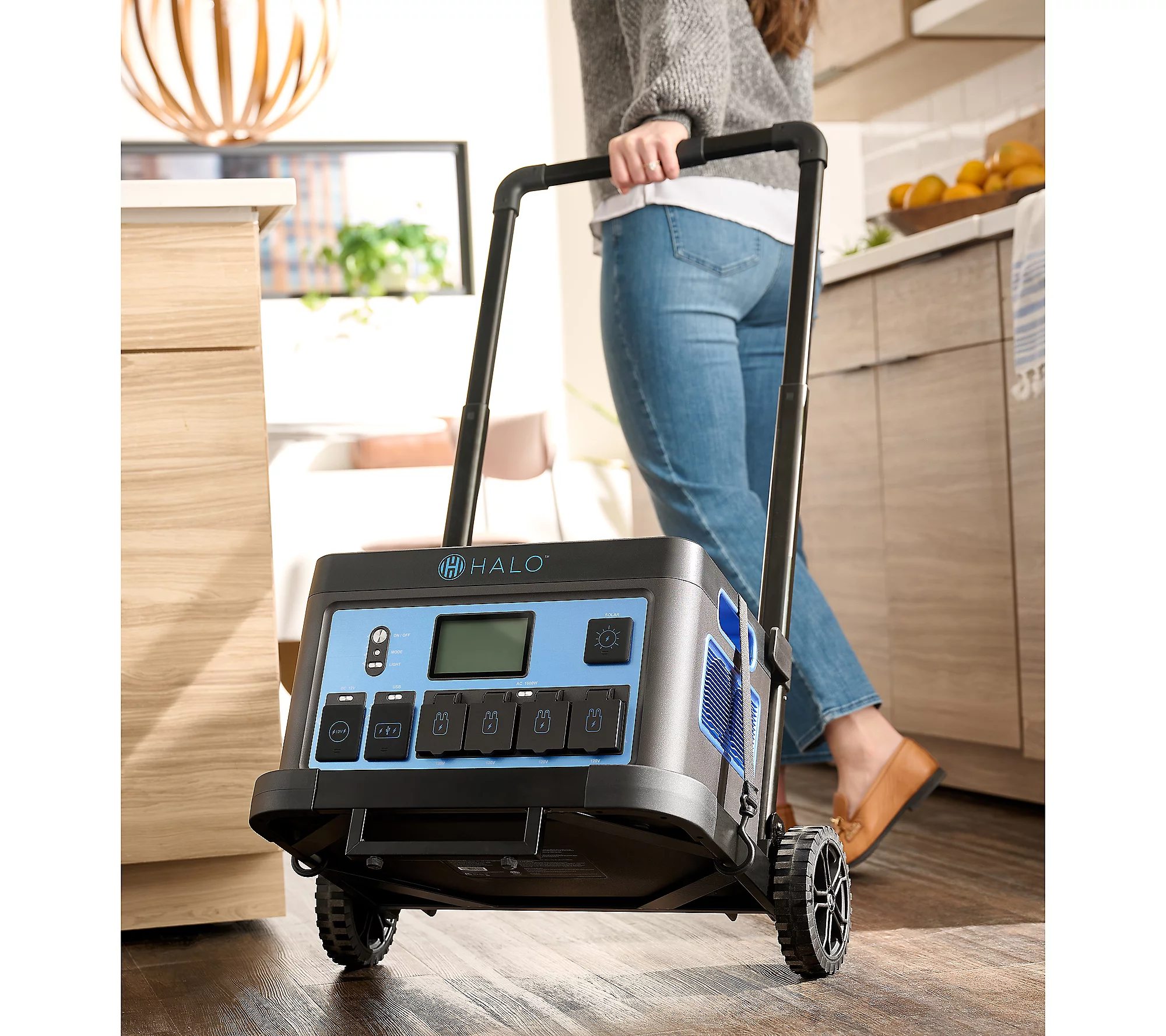 HALO 1600Wh Power Station with 11 Outlets & 100W Solar Panel & Trolley