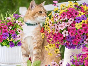 Artificial Flower (12/24pcs/set), UV Resistant Colorful Fake Flower, Decorative Bouquet for Home Garden Party Wedding Decor