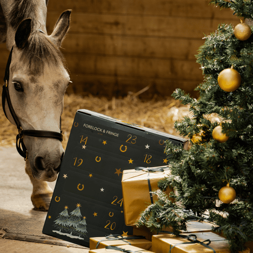 Countdown to Christmas: 🐴2025 Advent Calendar for Horse Lovers! ✨