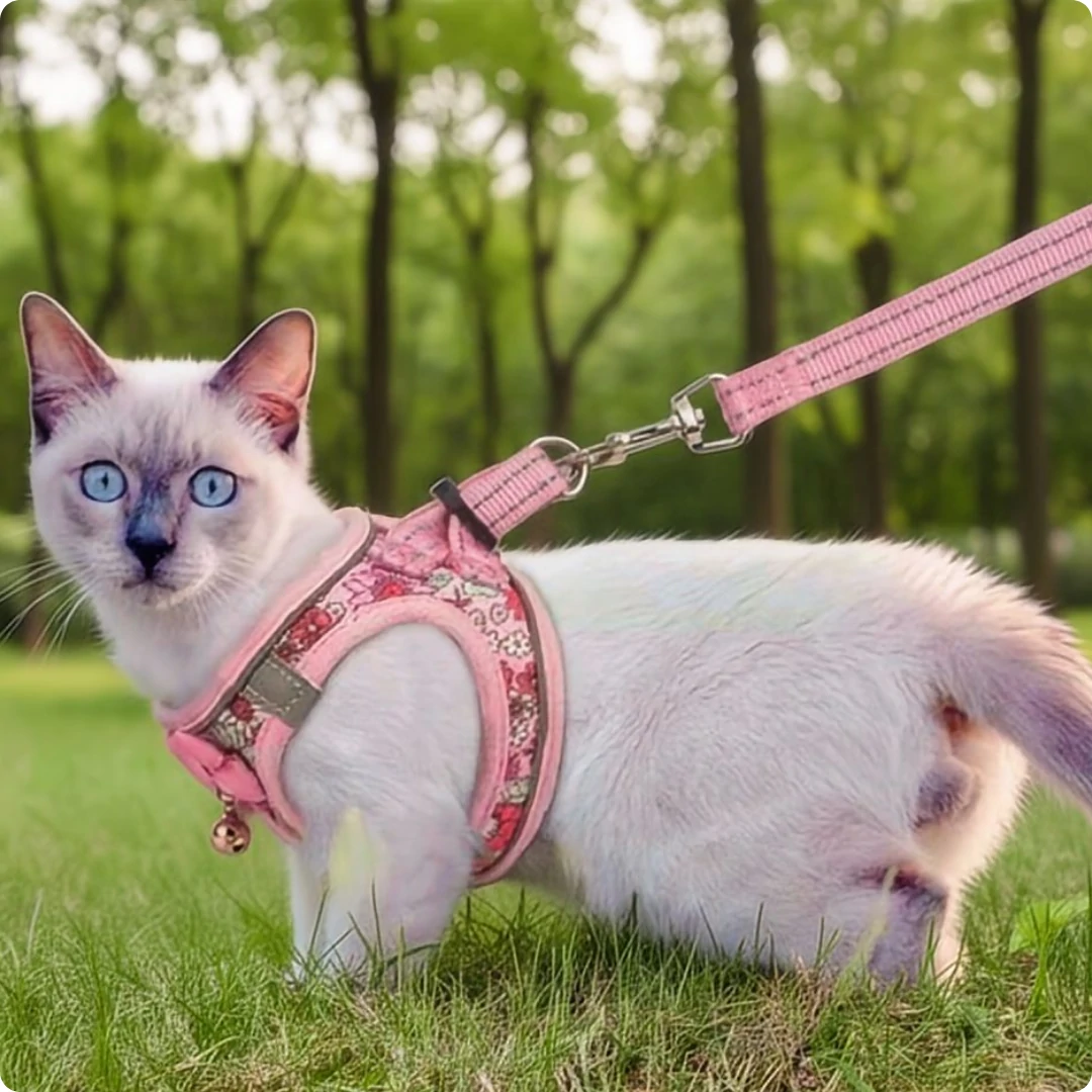 PetoGear Pink Floral Cat Harness & Leash Set - Escape-Proof, Adjustable