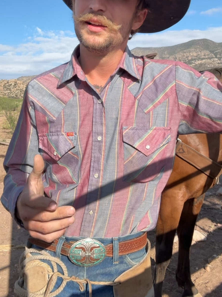 Men's Pink Stripe Print Shirt