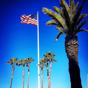 Palm Tree Rushmore Rose