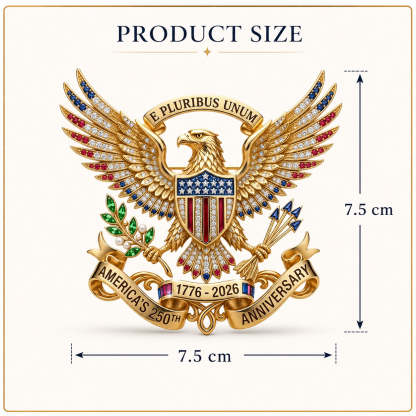 🔥🔥 US 250th Anniversary Brooch Pin