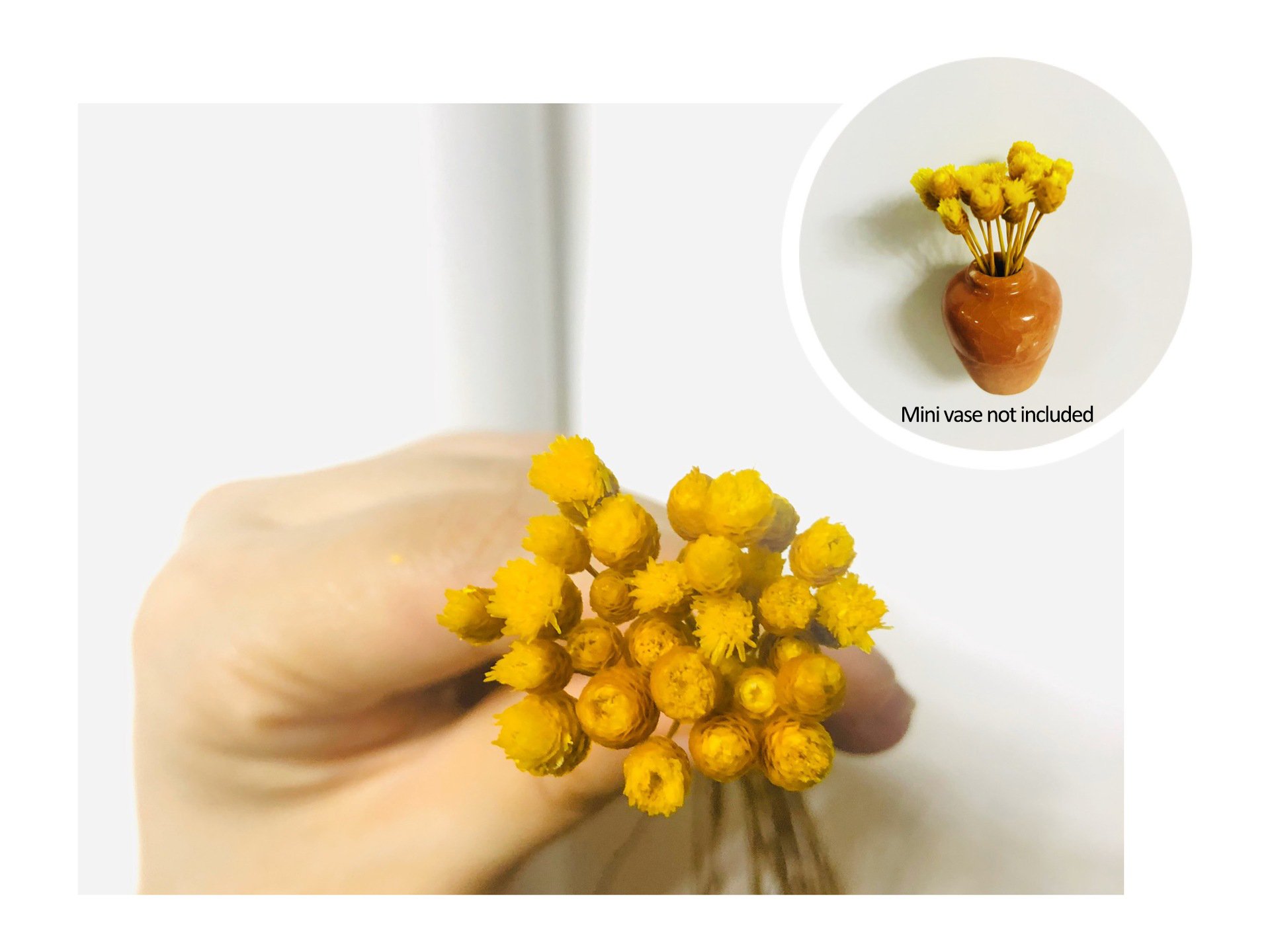 🔥Last Day Promotion - 49% OFF🎁Mini Ceramics Vase Fridge Magnet🌸