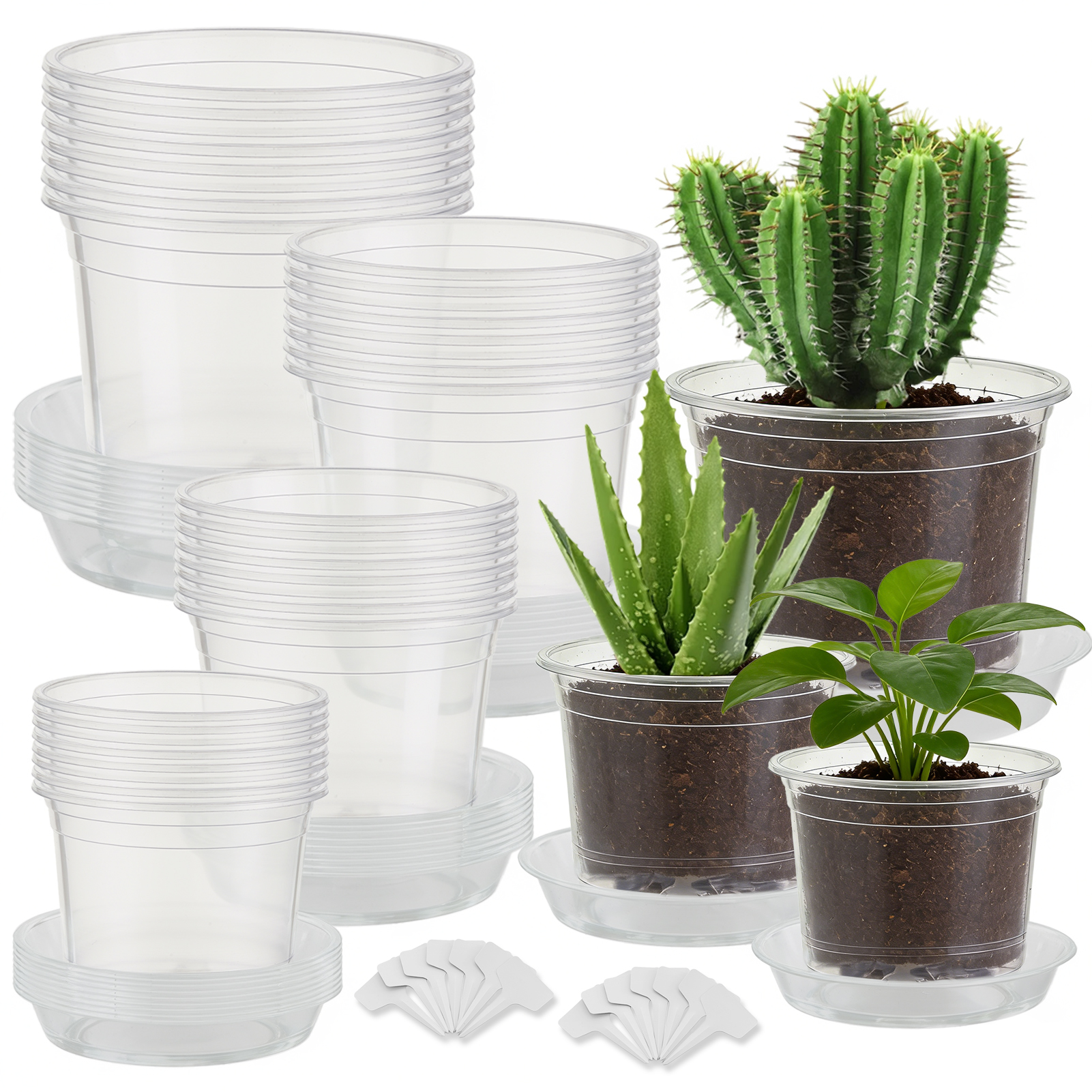urorentea 36Pack 3.5/4/5/6 inch Clear Nursery Pot with Saucers, Plastic Seedling Pots with Drainage Hole, Transparent Plant Pot for Seed Starting, Transplanting with 36 Pcs Plant Labels