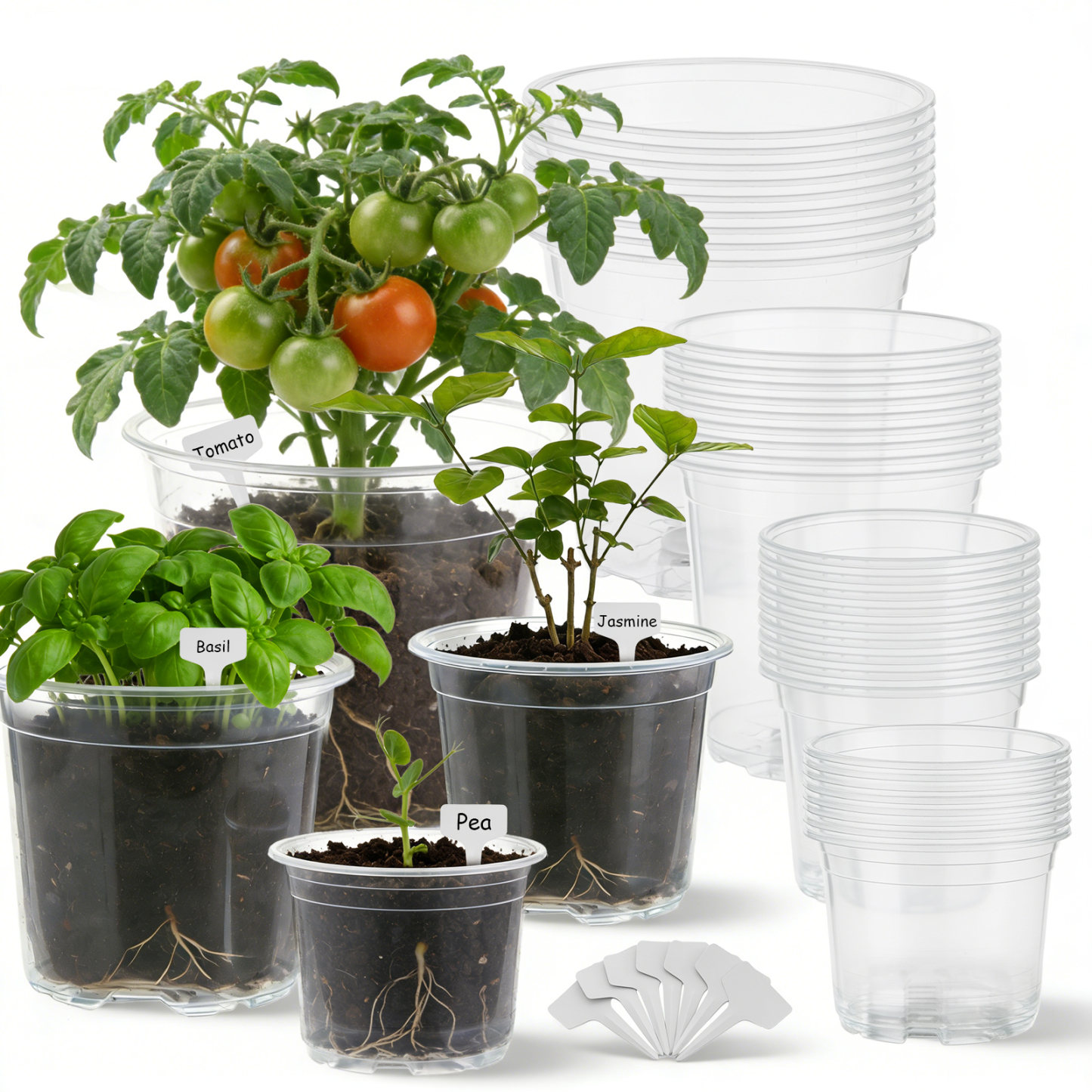 urorentea 36 Pack 3.5/4/5/6 inch Clear Nursery Pot, Plastic Plant Pots with Drainage Holes, Transparent Variety Pack Seed Starting Pots for Indoor Outdoor Plants with 36 Plant Labels
