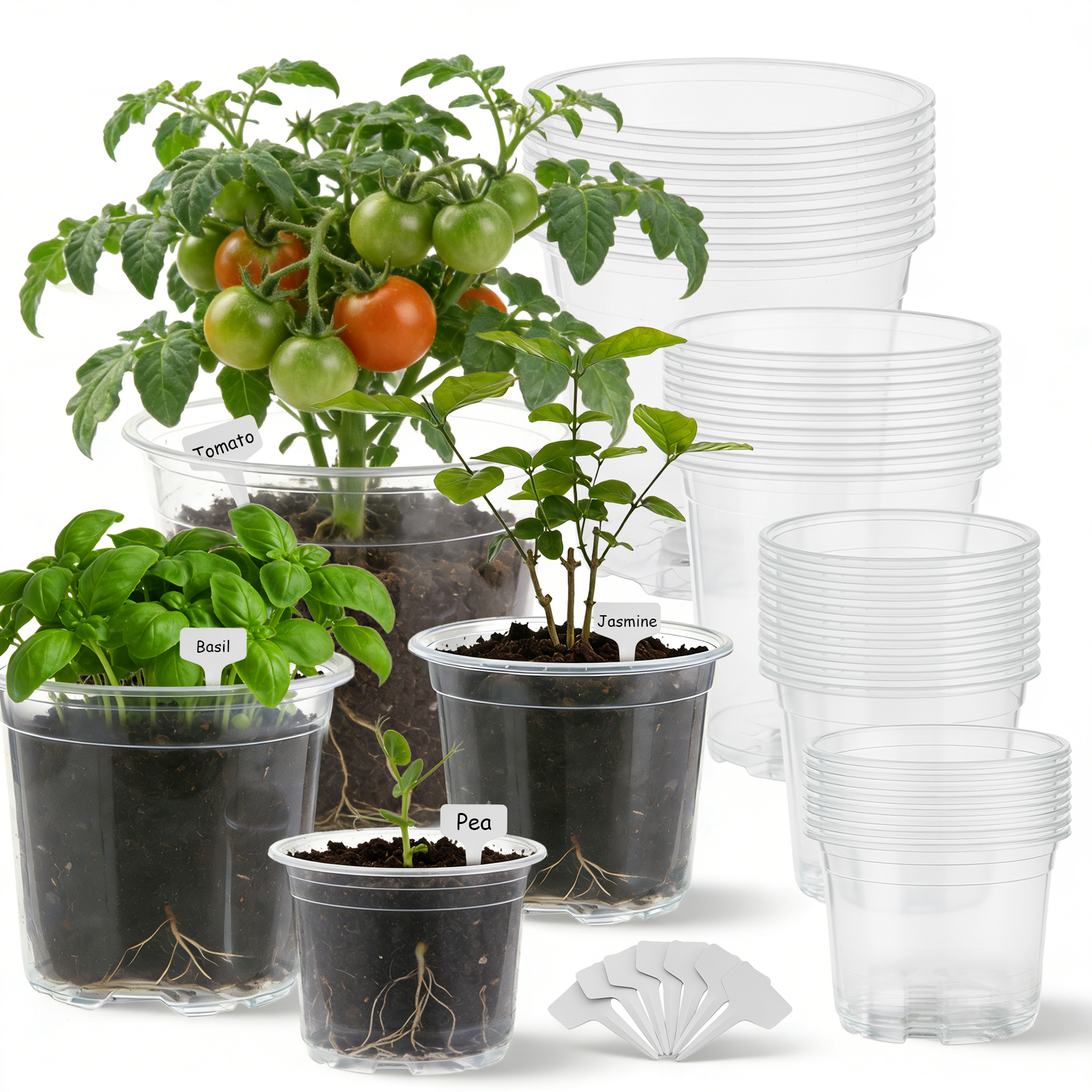 urorentea 36 Pack 3.5/4/5/6 inch Clear Nursery Pot, Plastic Plant Pots with Drainage Holes, Transparent Variety Pack Seed Starting Pots for Indoor Outdoor Plants with 36 Plant Labels