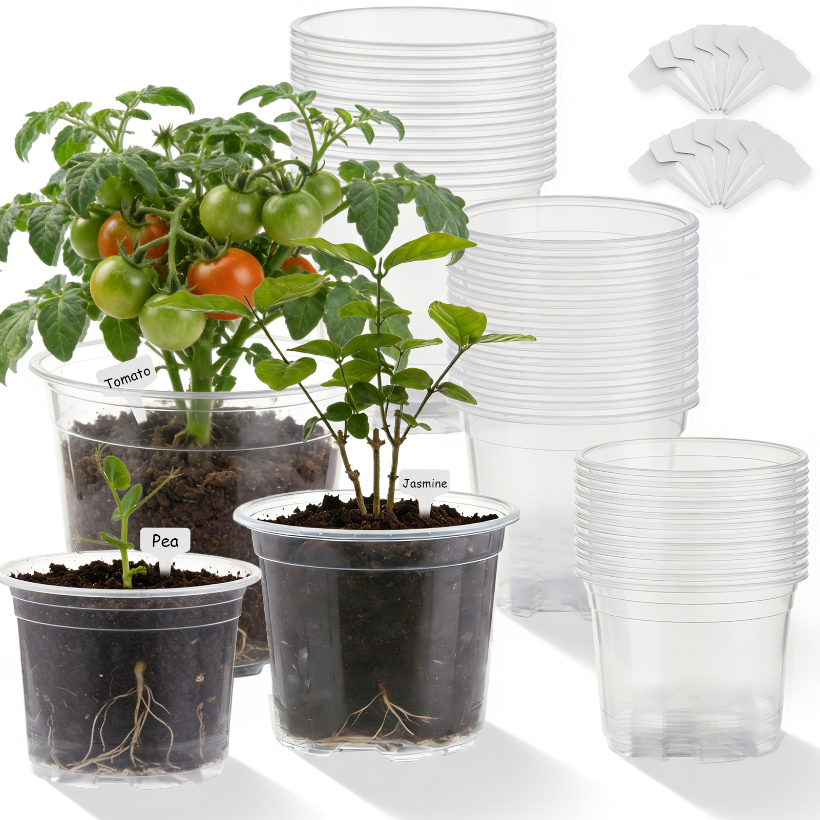 urorentea 36 Pack 3.5/4/5 inch Clear Nursery Pot, Plastic Plant Pots with Drainage Holes, Transparent Variety Pack Seed Starting Pots for Indoor Outdoor Plants with 36 Plant Labels