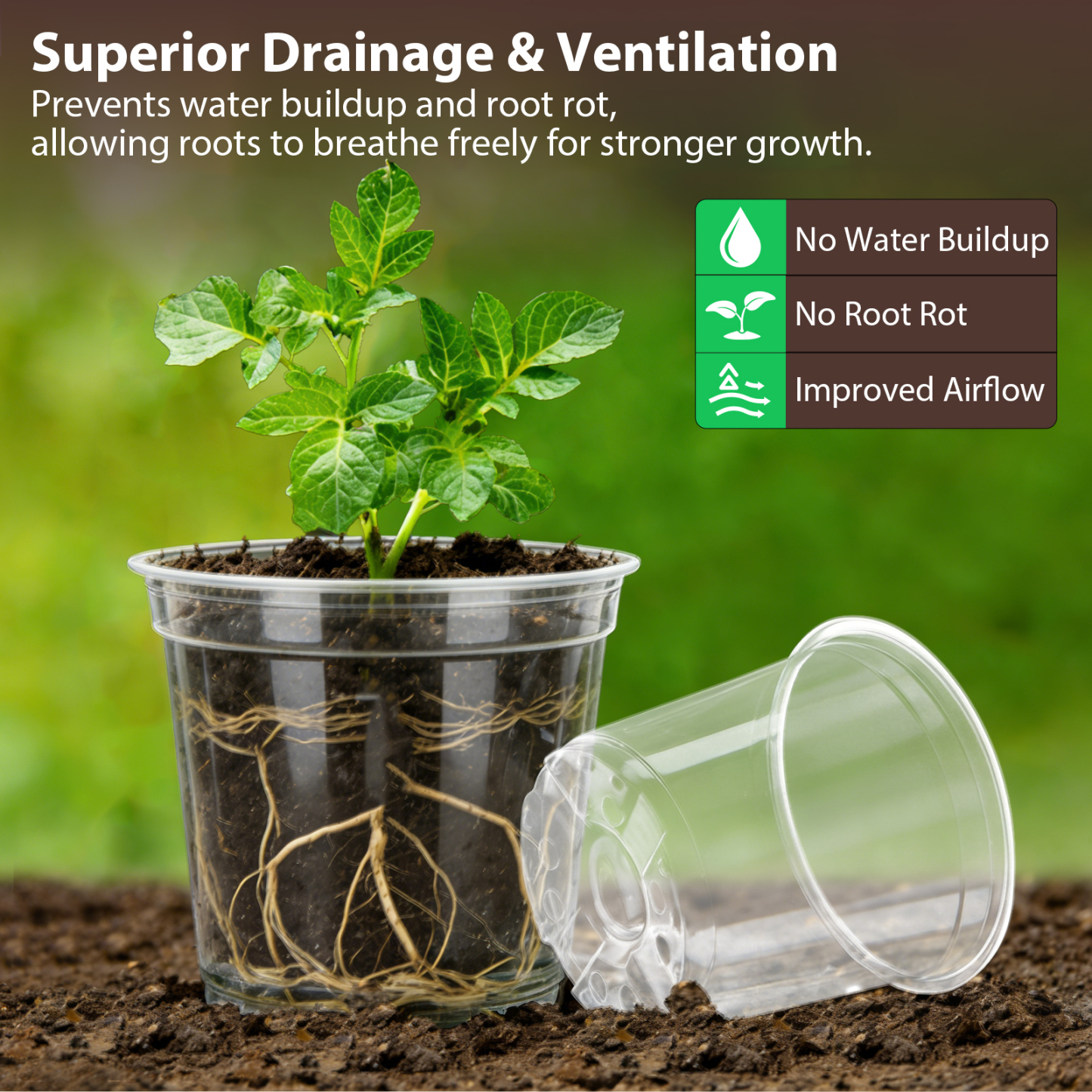 urorentea 36 Pack 3.5/4/5/6 inch Clear Nursery Pot, Plastic Plant Pots with Drainage Holes, Transparent Variety Pack Seed Starting Pots for Indoor Outdoor Plants with 36 Plant Labels
