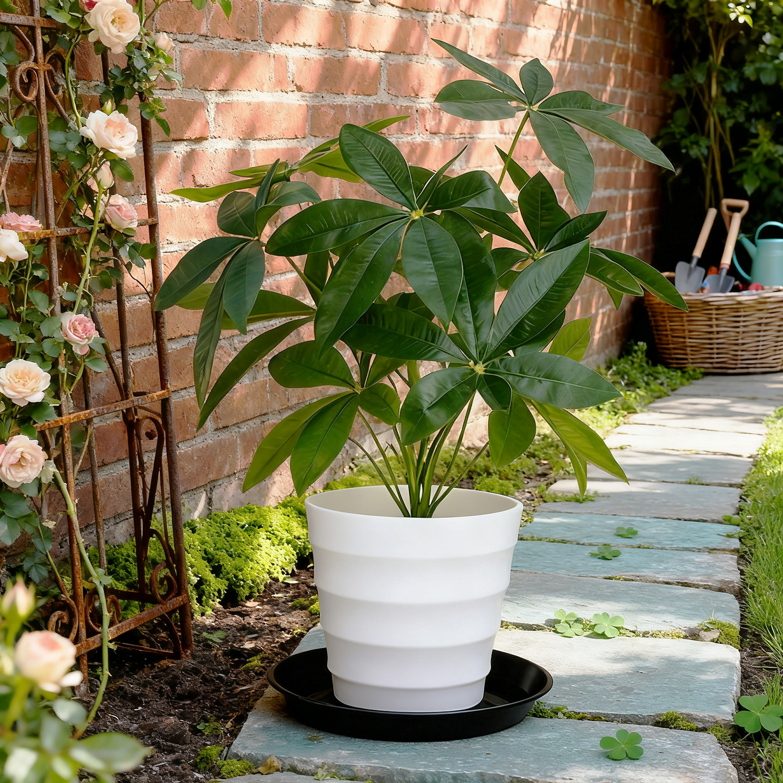 urorentea 12 Pack Plastic Plant Saucers, 12 inch Durable Plant Pot Trays, Plastic Flower Plant Pot Saucers Drip Tray for Indoors Outdoors