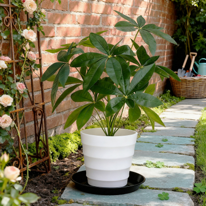 urorentea 12 Pack Plastic Plant Saucers, 12 inch Durable Plant Pot Trays, Plastic Flower Plant Pot Saucers Drip Tray for Indoors Outdoors