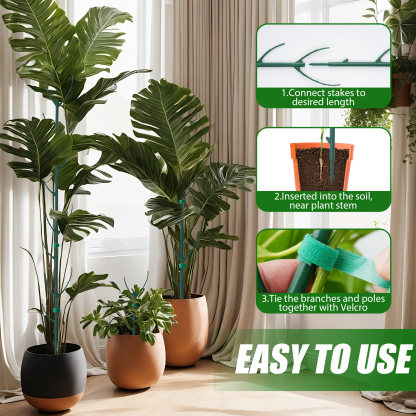 urorentea 10Pack Stackable Monstera Plant Support ,Climbing Plant Support Structures,Plant Stakes for Indoor and Outdoor Plants Use,Plant Holder Stick Moss Pole for Support Tall Potted Plants