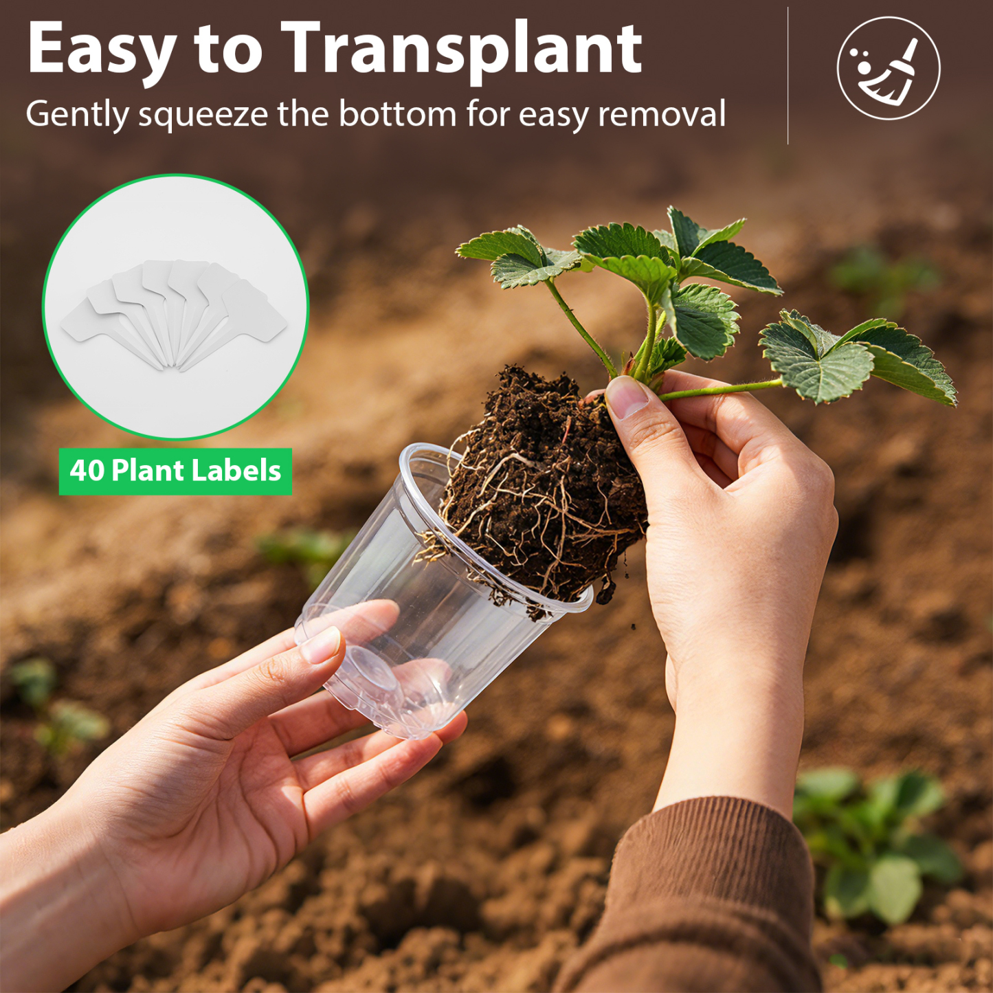 urorentea 36 Pack 3.5/4/5/6 inch Clear Nursery Pot, Plastic Plant Pots with Drainage Holes, Transparent Variety Pack Seed Starting Pots for Indoor Outdoor Plants with 36 Plant Labels