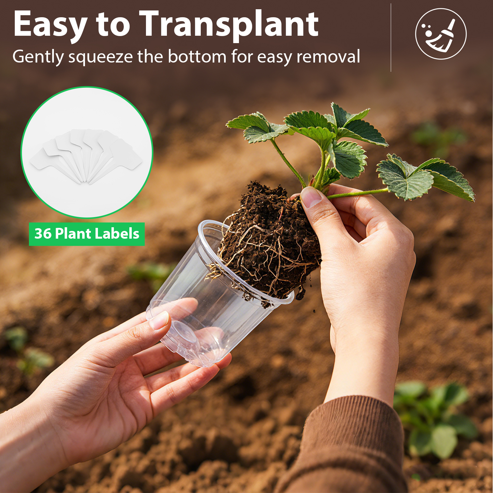 urorentea 36 Pack 3.5/4/5 inch Clear Nursery Pot, Plastic Plant Pots with Drainage Holes, Transparent Variety Pack Seed Starting Pots for Indoor Outdoor Plants with 36 Plant Labels