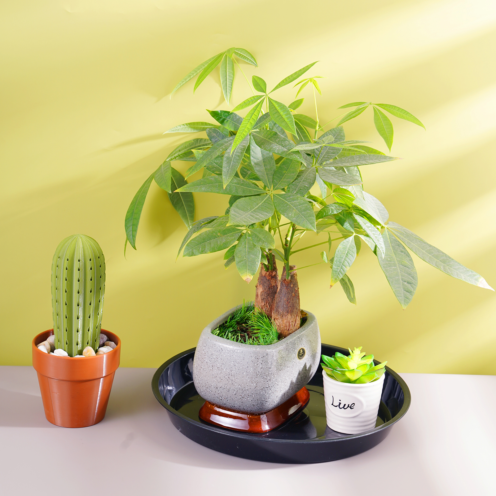 urorentea 8 Pack 14 inch Plastic Plant Saucers, Durable Plant Pot Trays, Large Flower Plant Pot Saucer for Indoor Outdoor Garden