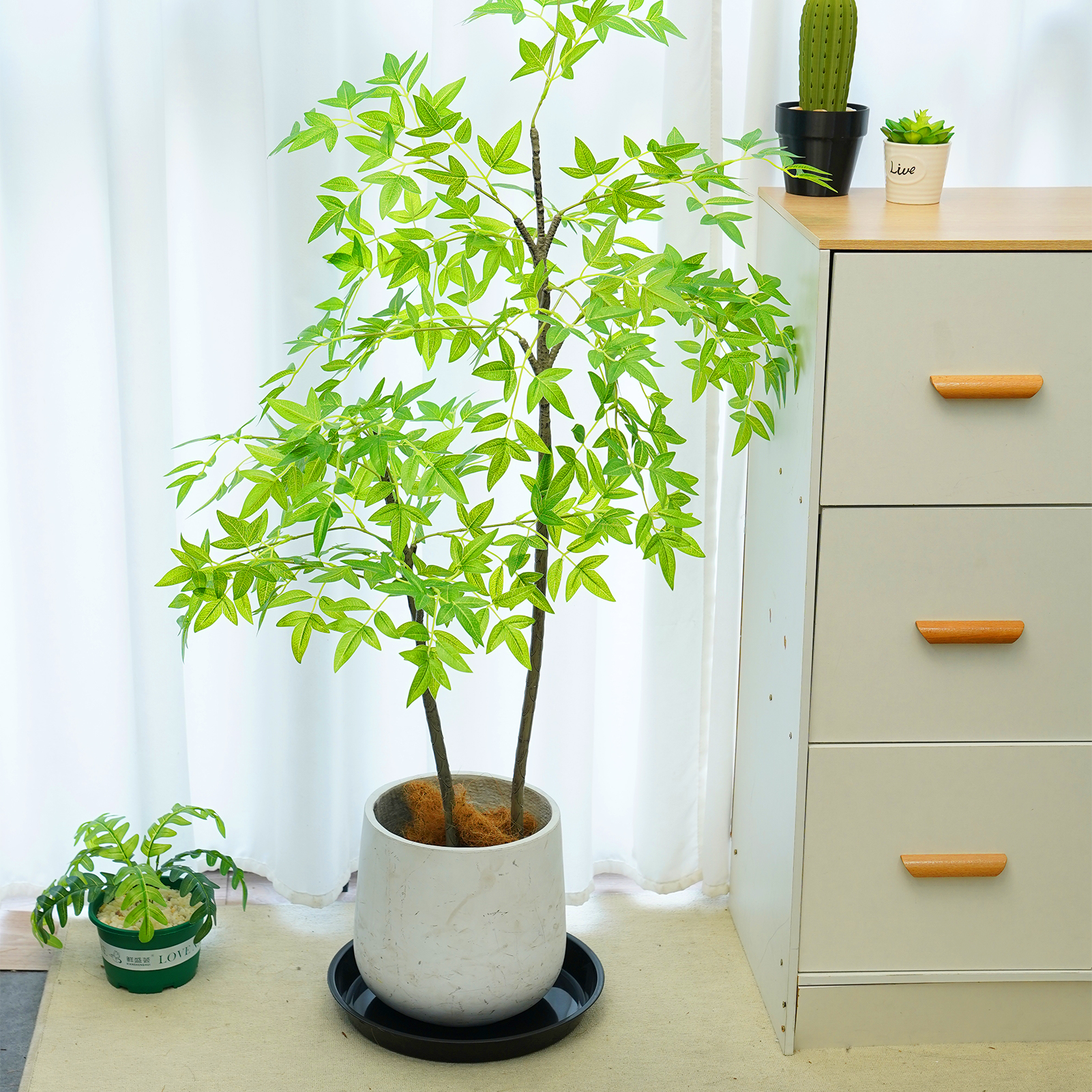 urorentea 8 Pack 14 inch Plastic Plant Saucers, Durable Plant Pot Trays, Large Flower Plant Pot Saucer for Indoor Outdoor Garden