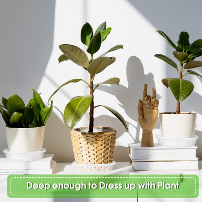 urorentea 15 Pack Clear Plant Saucer, 6 8 10 inch Plant Pot Saucers, Plastic Plant Drip Trays, Flower Pot Saucers for Indoor Outdoor Garden Plants