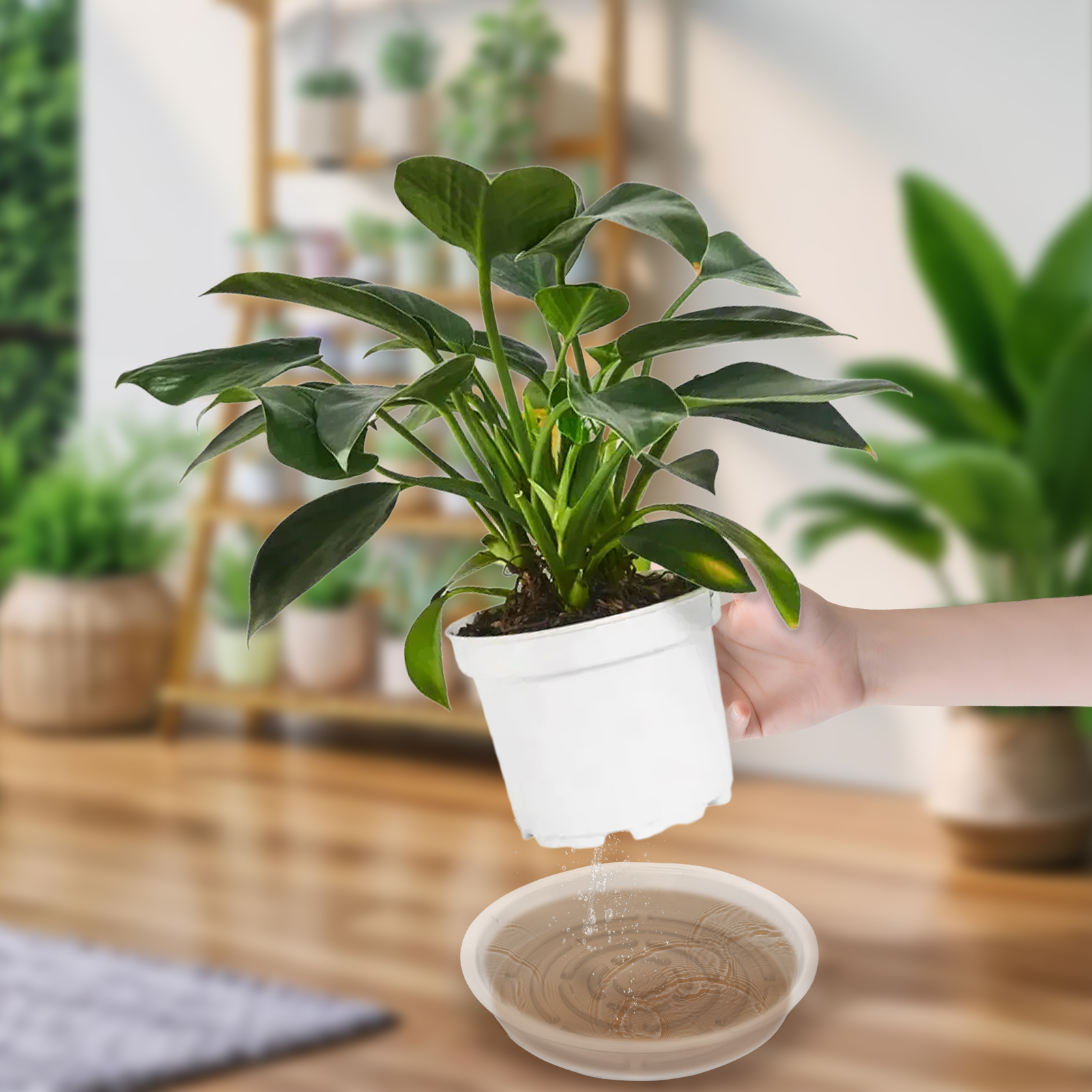 urorentea 15 Pack Clear Plant Saucer, 6 8 10 inch Plant Pot Saucers, Plastic Plant Drip Trays, Flower Pot Saucers for Indoor Outdoor Garden Plants