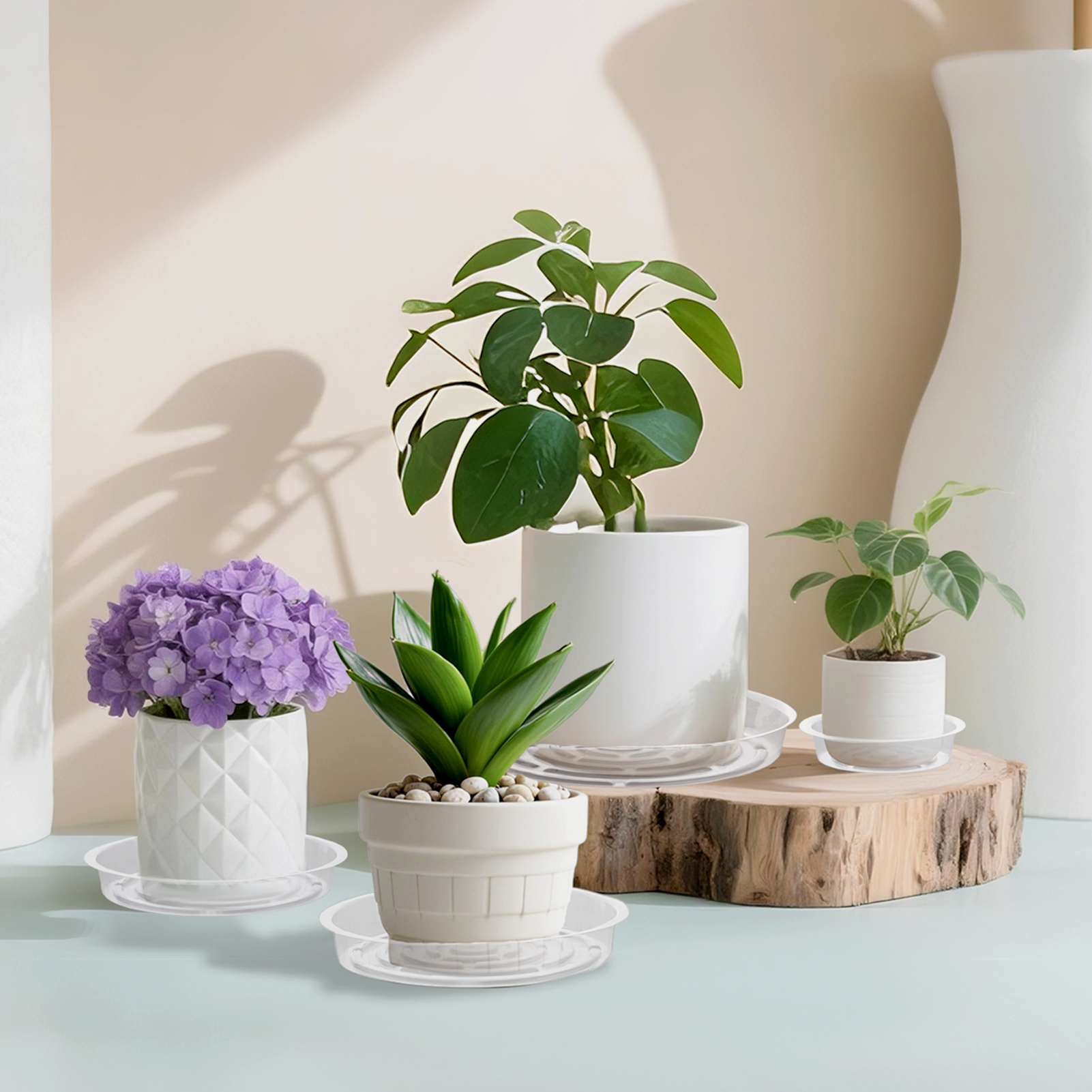 urorentea 24Pcs Clear Plant Saucer, 6 8 10 12inch Round Plant Pot Saucers, Plastic Plant Drip Trays, Flower Pot Saucers for Indoor Outdoor Garden Plants