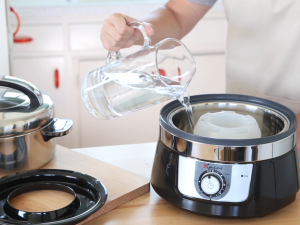 Euro Cuisine veggie steamer