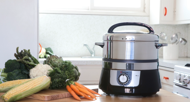 Euro Cuisine food steamer