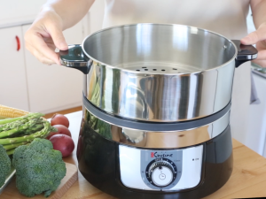 Euro Cuisine veggie steamer