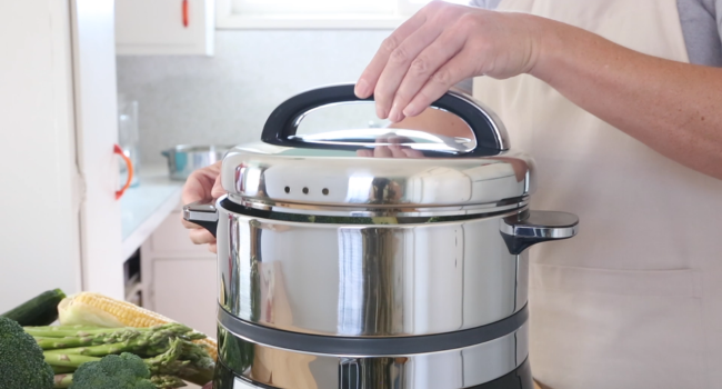 Euro Cuisine food steamer