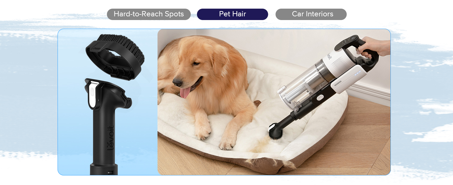 clean pet hair with pet tool