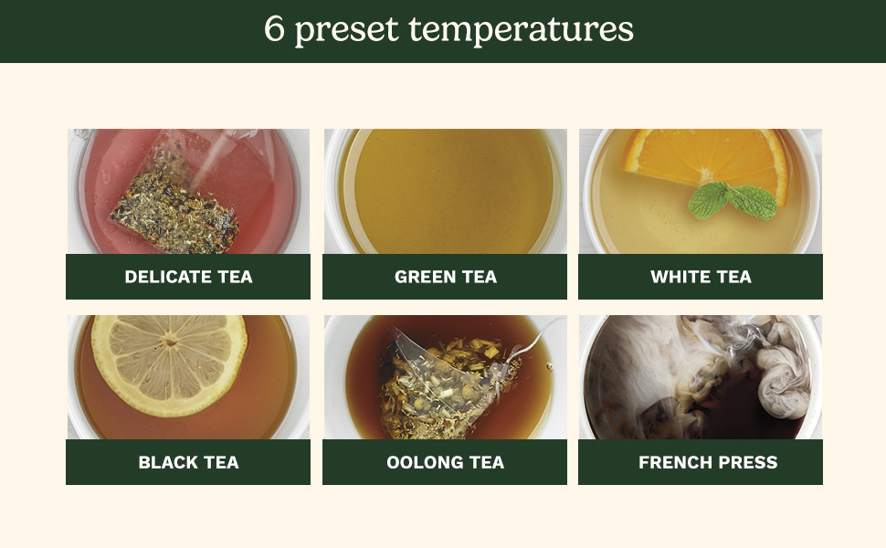 perfectemp kettle programmable