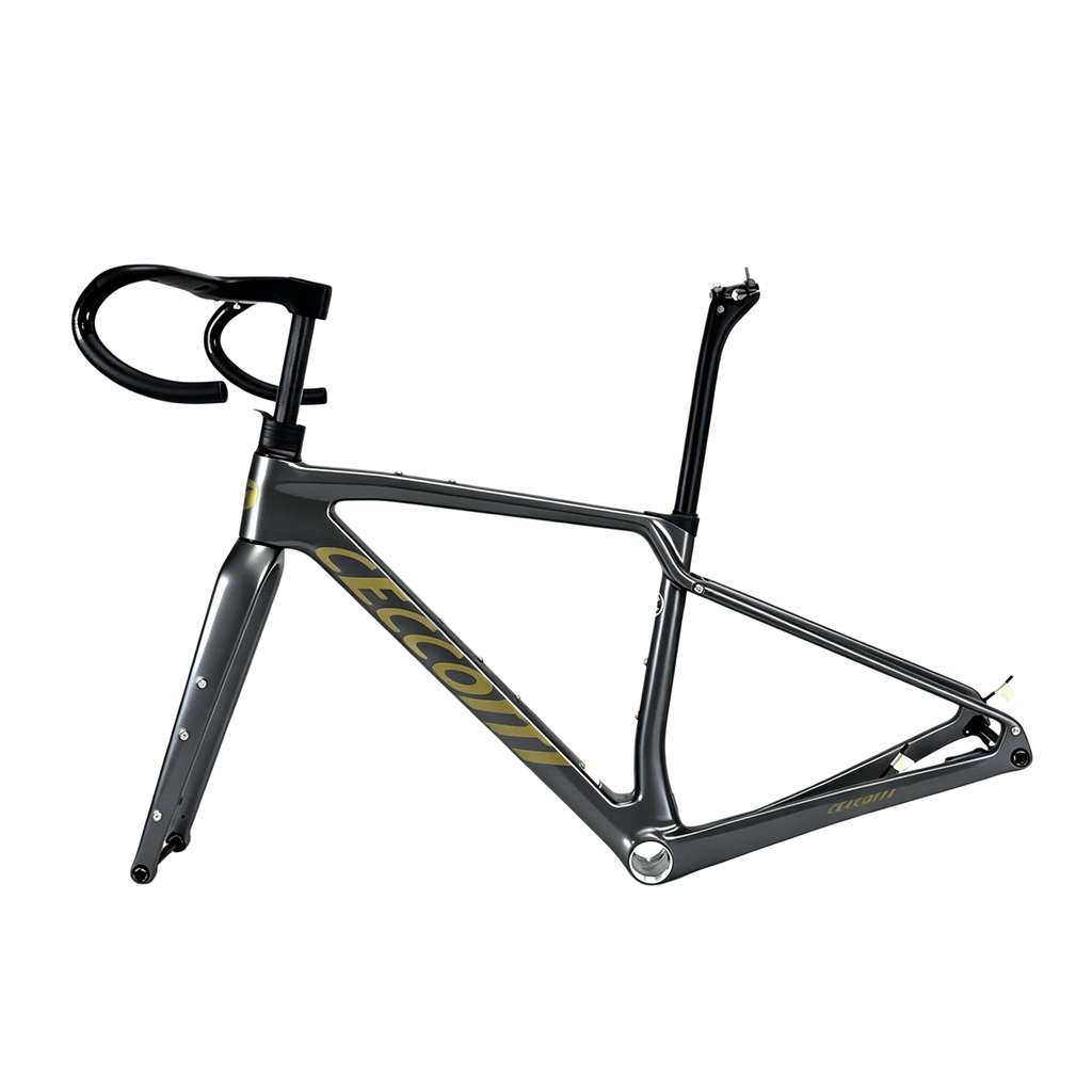 CECCOTTI DC025 GRAVEL TORAY CARBON BICYCLE FRAMEST DISC 142*12 47mm Tire-Ceccotti Carbon Bicycle