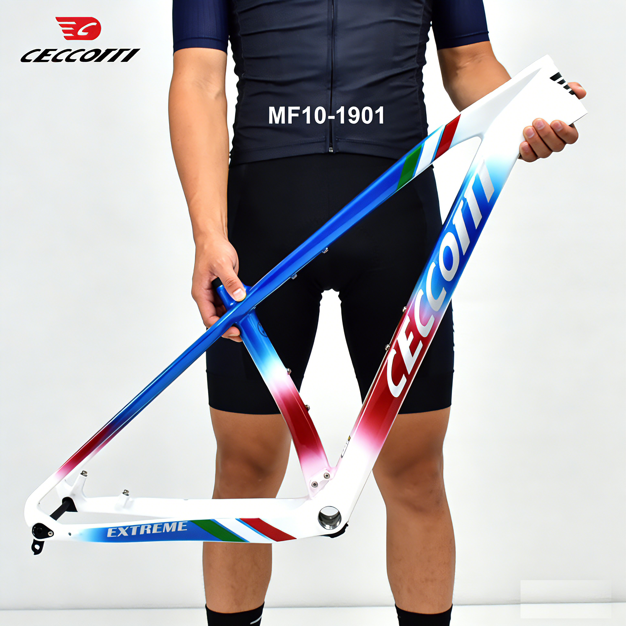 M10 CECCOTTI 148*12 CARBON MOUTAIN BICYCLE FRAMEST FULL INNER CABLE