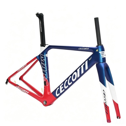 DC006 CECCOTTI V BRAKE CARBON BICYCLE FRAMESET SUPPER LIGHT ,Rim brake 