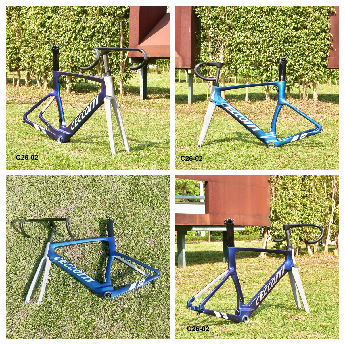 DC026 CECCOTTI DISC 142*12 CARBON ROAD FRAMESET FULL INNER CABLE 