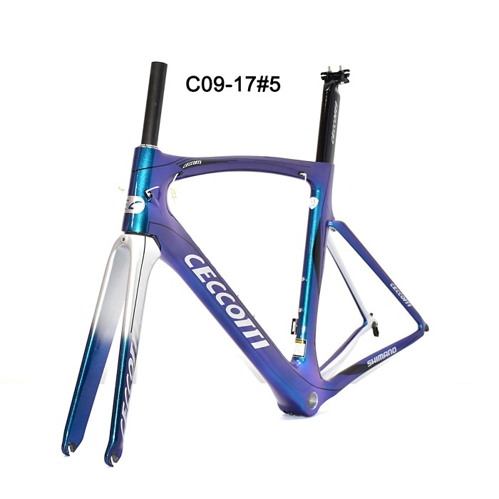 DC009 CECCOTTI V BRAKE CARBON BICYCLE FRAMEST SUPPER LIGHT