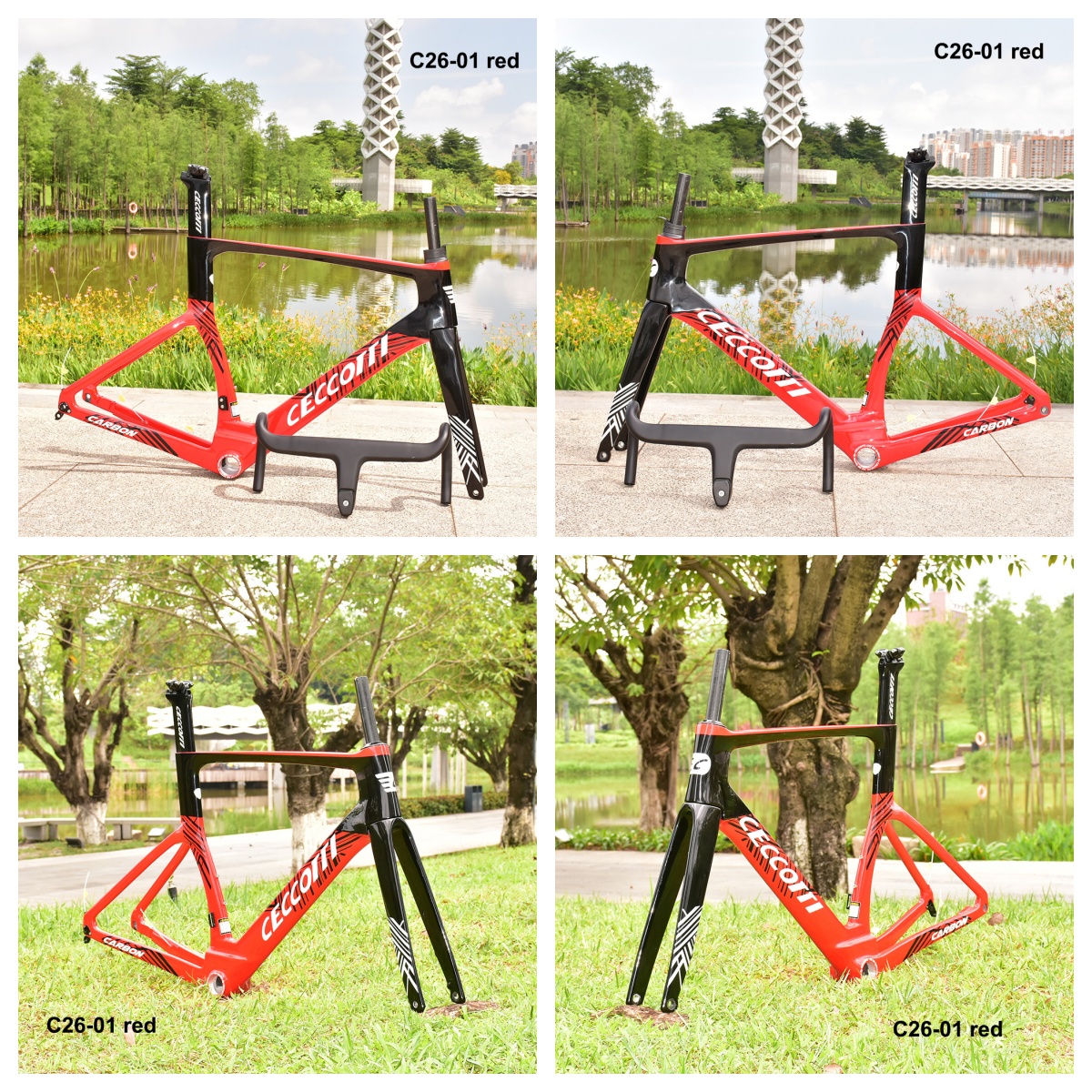 DC026 CECCOTTI DISC 142*12 CARBON ROAD FRAMESET FULL INNER CABLE 