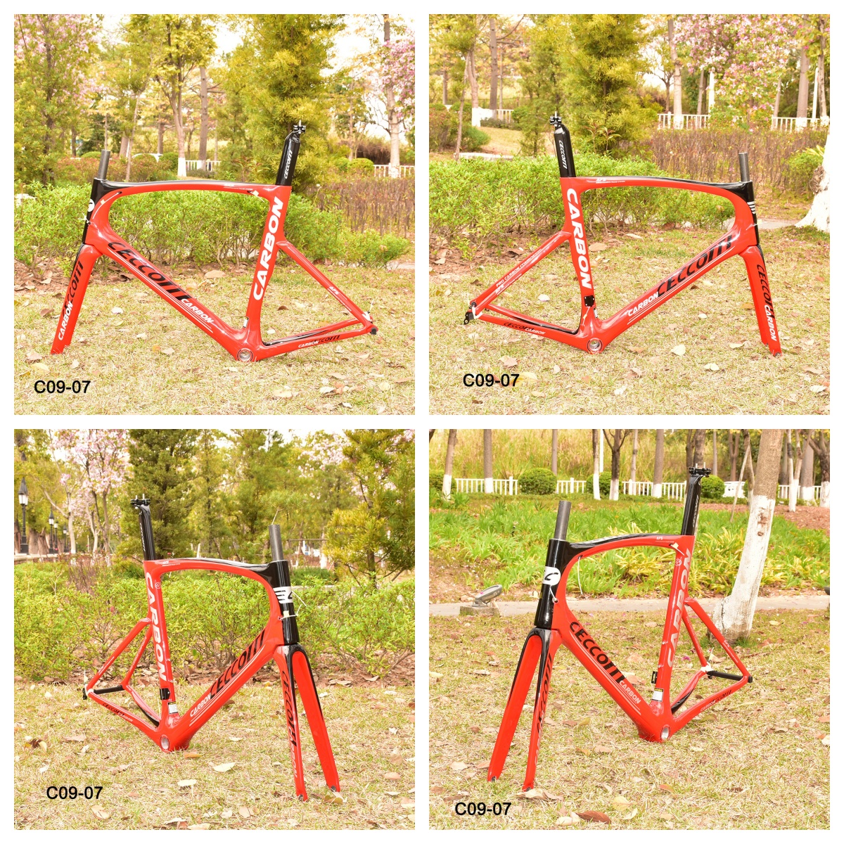 DC009 CECCOTTI V BRAKE CARBON BICYCLE FRAMESET SUPPER LIGHT Rim brake