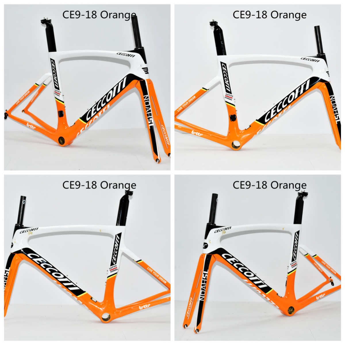 DC009 CECCOTTI V BRAKE CARBON BICYCLE FRAMESET SUPPER LIGHT Rim brake